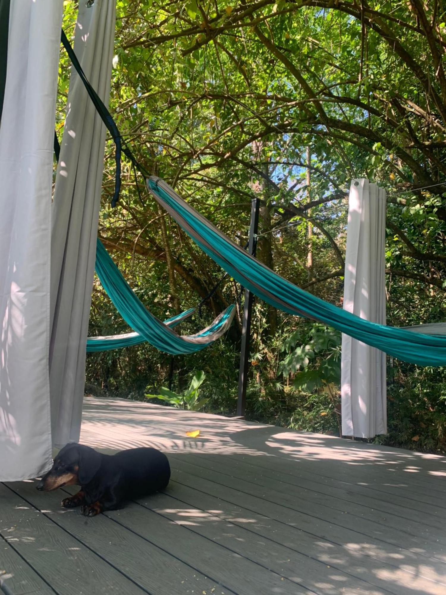 Bambura Bahia Villas Uvita Extérieur photo