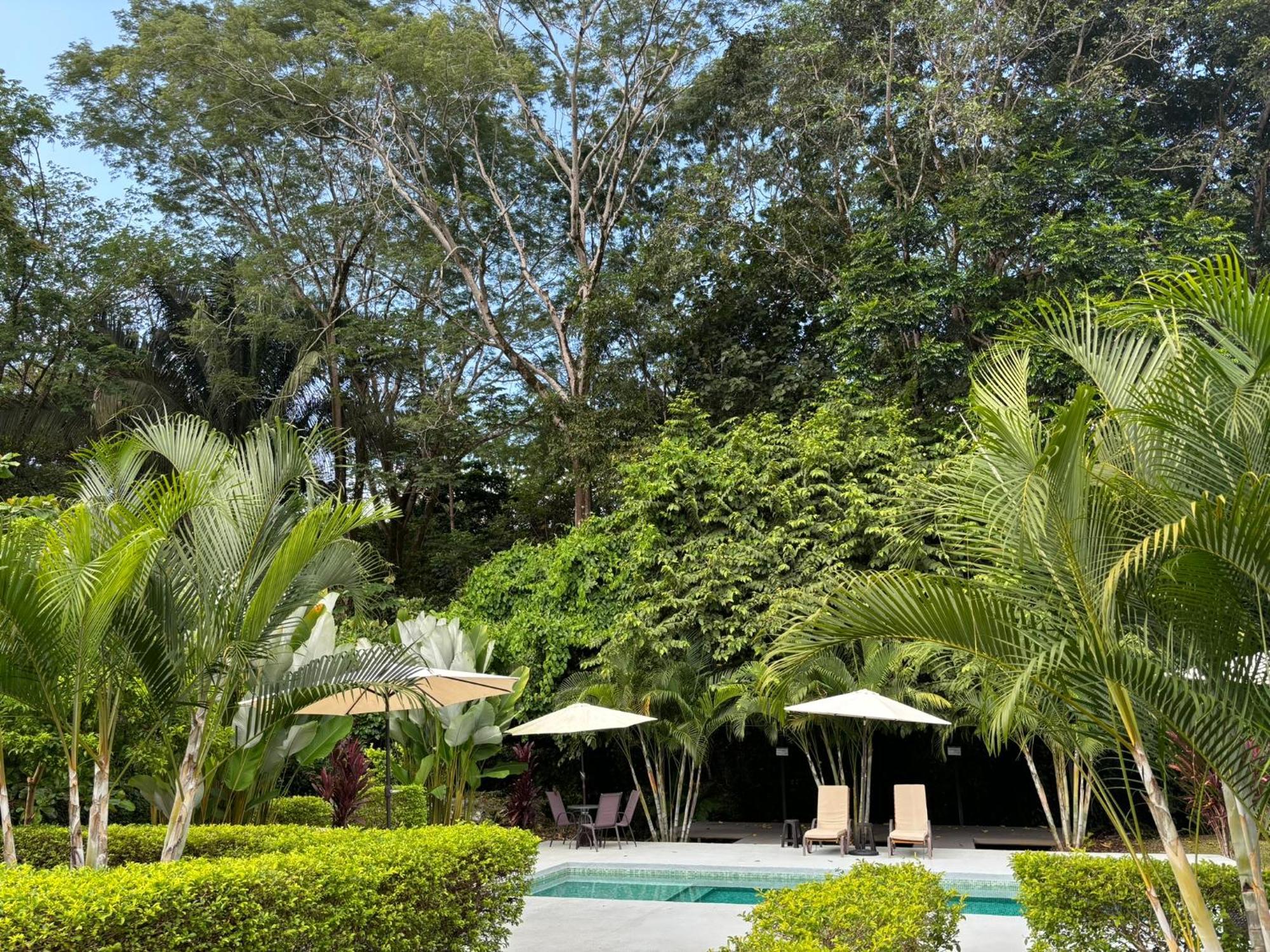 Bambura Bahia Villas Uvita Extérieur photo